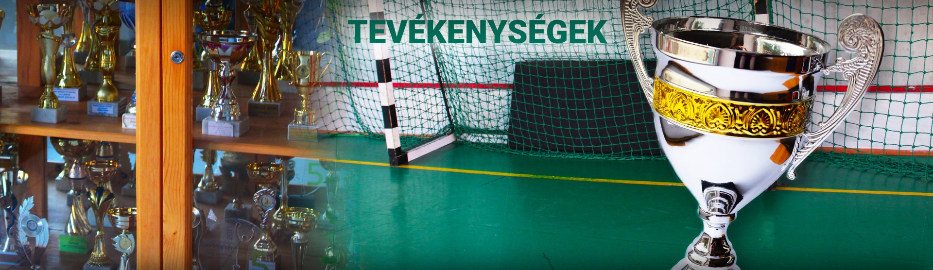 foieni